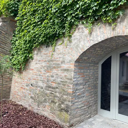 Jancso * Dunafoldvar